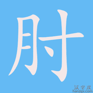 《肘》的笔顺动画写字动画演示