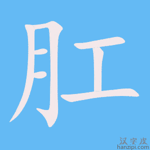 《肛》的笔顺动画写字动画演示