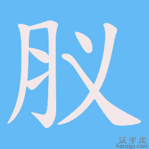 《肞》的笔顺动画写字动画演示