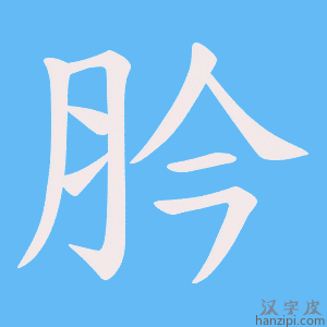 《肣》的笔顺动画写字动画演示