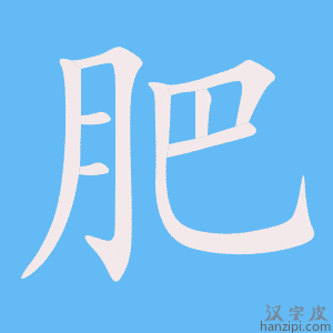《肥》的笔顺动画写字动画演示