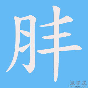 《肨》的笔顺动画写字动画演示