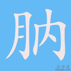 《肭》的笔顺动画写字动画演示