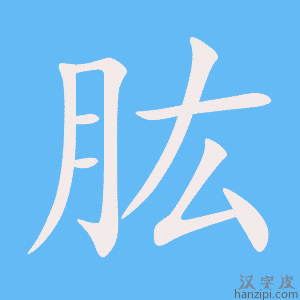 《肱》的笔顺动画写字动画演示