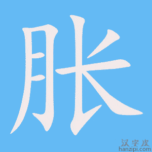 《胀》的笔顺动画写字动画演示