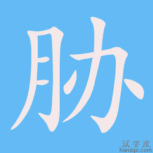 《胁》的笔顺动画写字动画演示