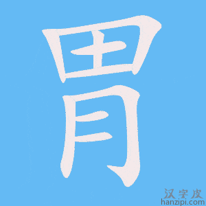 《胃》的笔顺动画写字动画演示