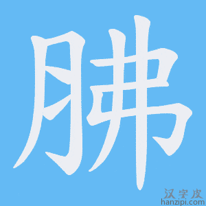 《胇》的笔顺动画写字动画演示