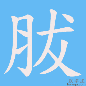 《胈》的笔顺动画写字动画演示