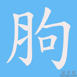 《胊》的笔顺动画写字动画演示