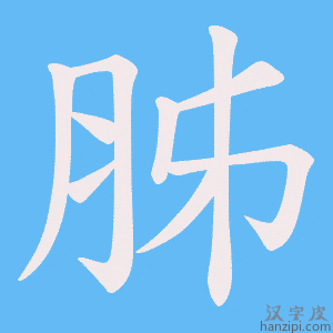 《胏》的笔顺动画写字动画演示