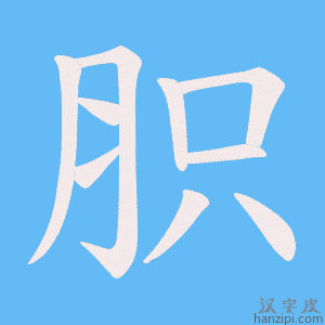 《胑》的笔顺动画写字动画演示