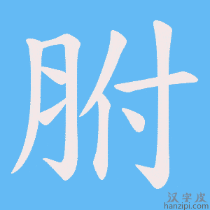 《胕》的笔顺动画写字动画演示
