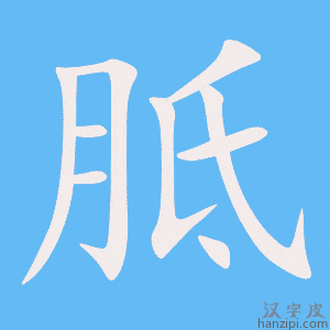 《胝》的笔顺动画写字动画演示