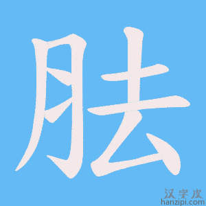 《胠》的笔顺动画写字动画演示