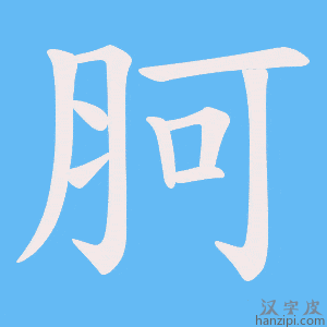 《胢》的笔顺动画写字动画演示