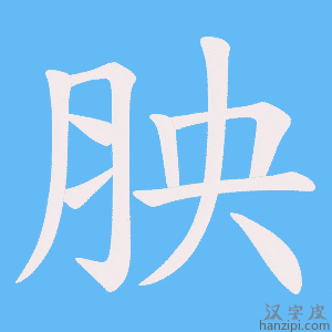 《胦》的笔顺动画写字动画演示
