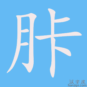 《胩》的笔顺动画写字动画演示