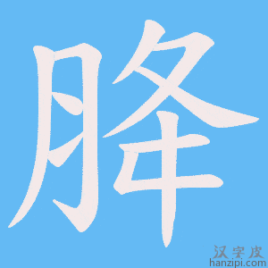 《胮》的笔顺动画写字动画演示