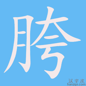 《胯》的笔顺动画写字动画演示