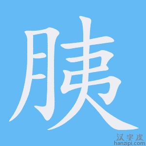 《胰》的笔顺动画写字动画演示