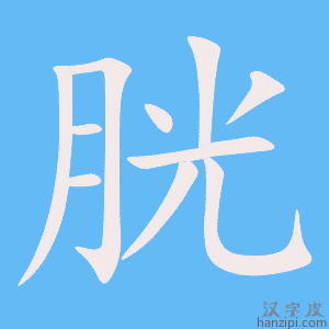 《胱》的笔顺动画写字动画演示