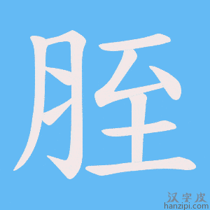 《胵》的笔顺动画写字动画演示
