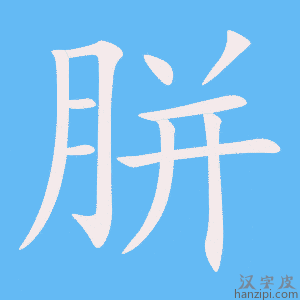 《胼》的笔顺动画写字动画演示