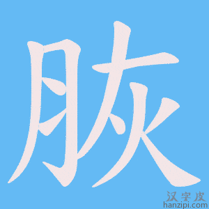 《脄》的笔顺动画写字动画演示