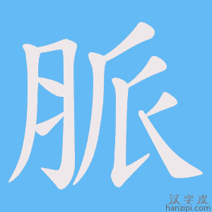 《脈》的笔顺动画写字动画演示
