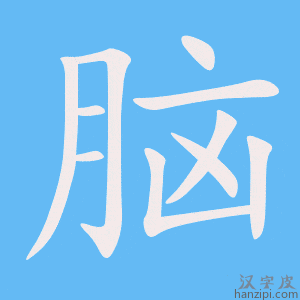 《脑》的笔顺动画写字动画演示