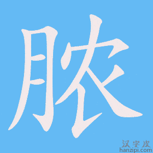 《脓》的笔顺动画写字动画演示