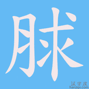 《脙》的笔顺动画写字动画演示