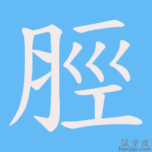 《脛》的笔顺动画写字动画演示