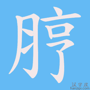 《脝》的笔顺动画写字动画演示