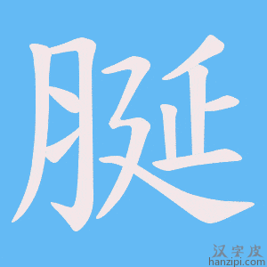 《脠》的笔顺动画写字动画演示