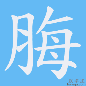 《脢》的笔顺动画写字动画演示