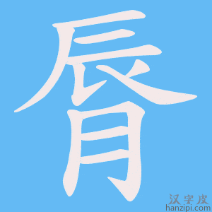《脣》的笔顺动画写字动画演示