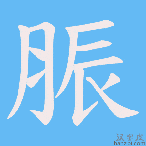 《脤》的笔顺动画写字动画演示