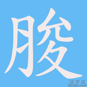 《脧》的笔顺动画写字动画演示