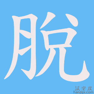 《脫》的笔顺动画写字动画演示