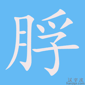 《脬》的笔顺动画写字动画演示