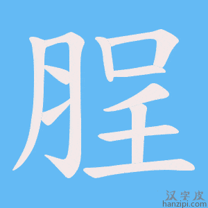 《脭》的笔顺动画写字动画演示