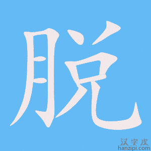 《脱》的笔顺动画写字动画演示