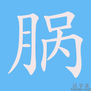 《脶》的笔顺动画写字动画演示