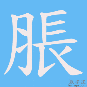 《脹》的笔顺动画写字动画演示