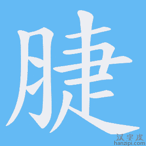 《脻》的笔顺动画写字动画演示