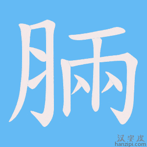 《脼》的笔顺动画写字动画演示