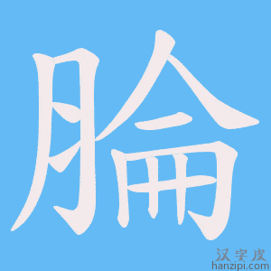 《腀》的笔顺动画写字动画演示