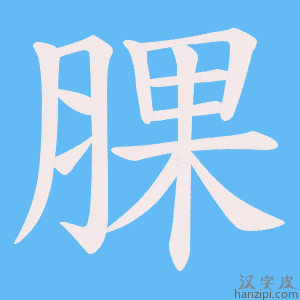 《腂》的笔顺动画写字动画演示